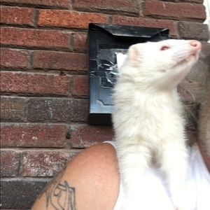 Meet your Posher, Robert